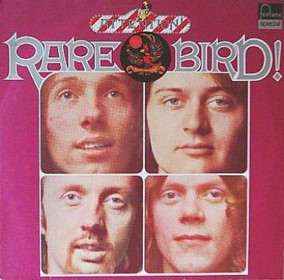 Attention! Rare Bird!