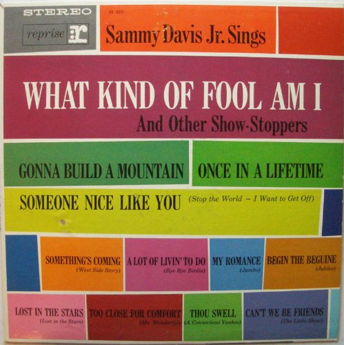 Sings What Kind Of Fool Am I And Other Show-stoppers