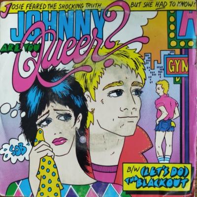 Johnny Are You Queer ?