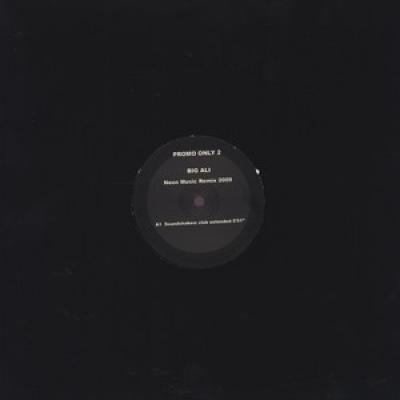 Neon Music Remix 2009 (promo Club)