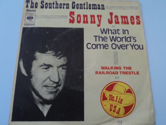 The Southern Gentleman