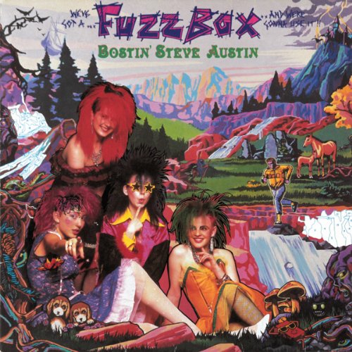 We've Got A Fuzzbox And We're Gonna Use It