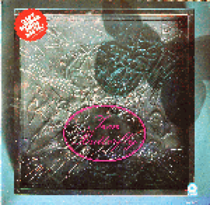 Iron Butterfly