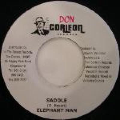 Saddle