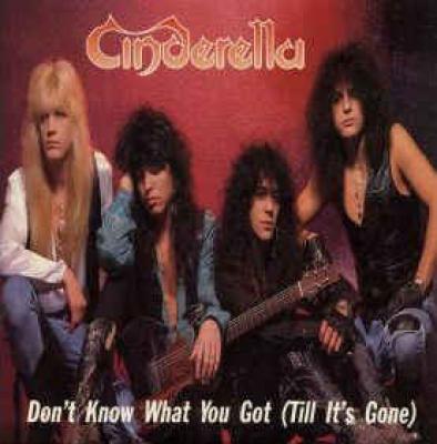 Don't Know What You Got ( Till It's Gone )