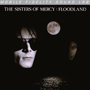 Floodland