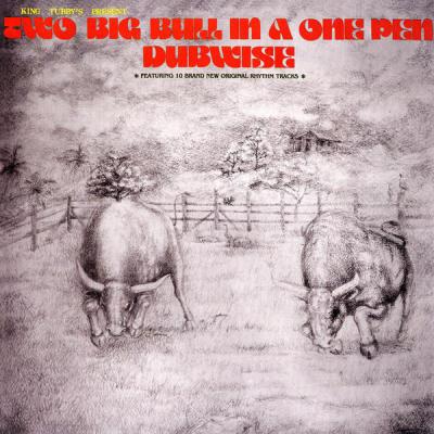 Two Big Bull In A One Pen Dubwise