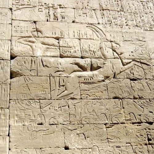 Egypt Strut
