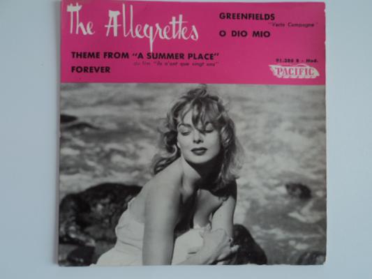 Theme From A Summer Place