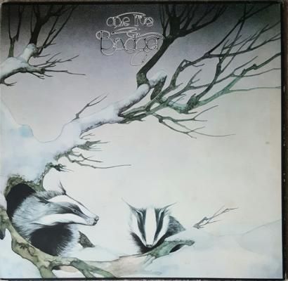 One Live Badger
