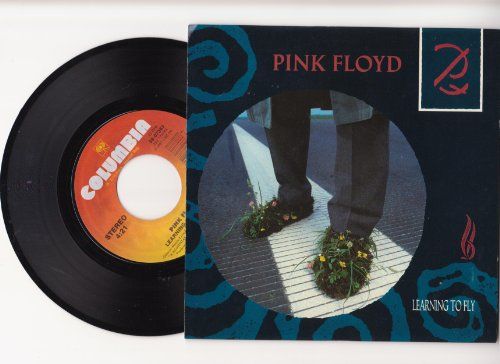 Pink Floyd Learning To Fly 45