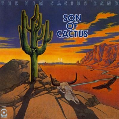 The New Cactus Band