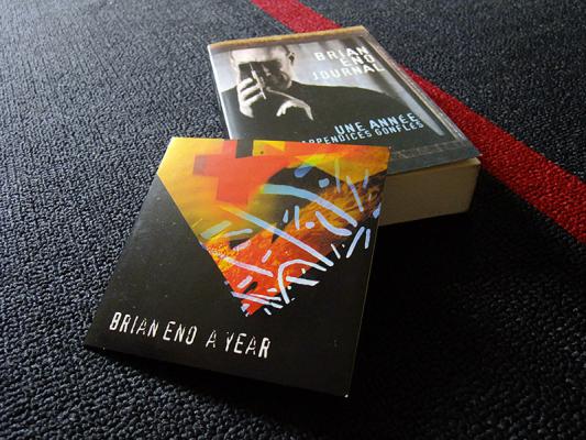 Journal : Une Année Aux Appendices Gonflés - A Year (cd)