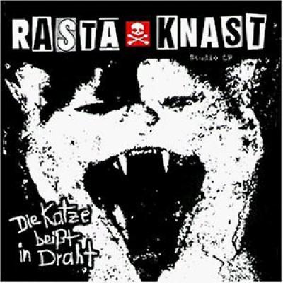 Die Katze Beisst In Draht
