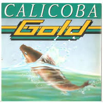Calicobra