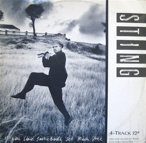 Sting / If You Love Somebody