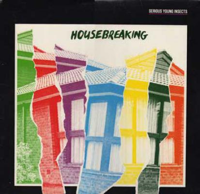 Housebreaking