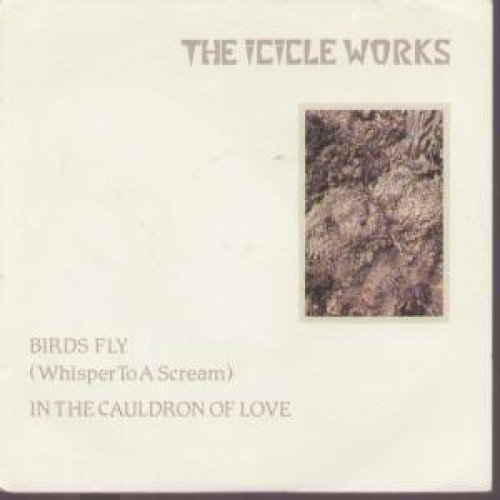 Birds Fly 7 Inch