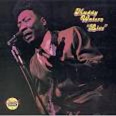 They Call Me Muddy Waters/live At Mister Kelly's