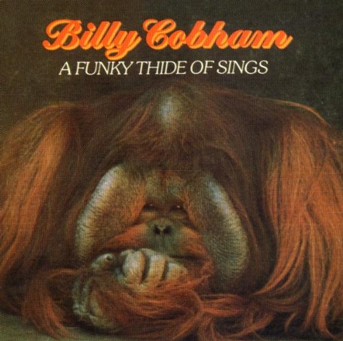 Funky Thide Of Sings