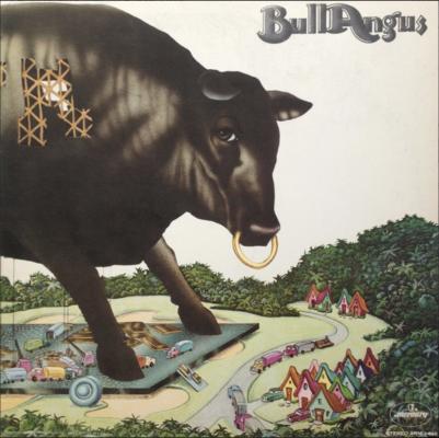 Bull Angus