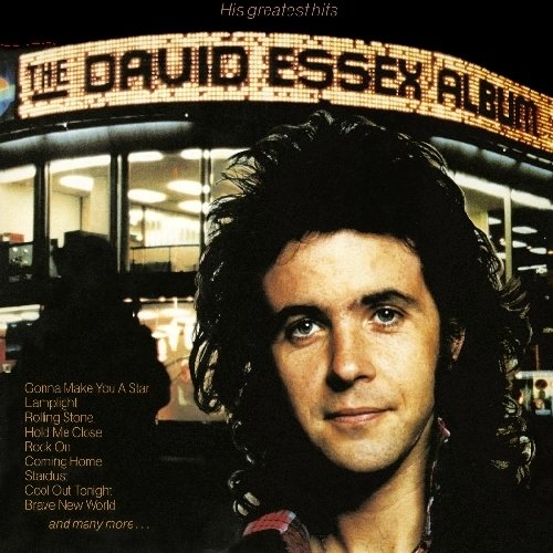 The David Essex Album