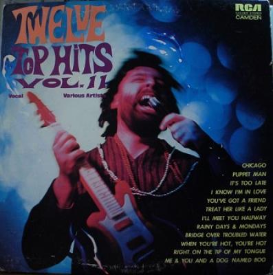 Twelve Top Hits Vol. 11