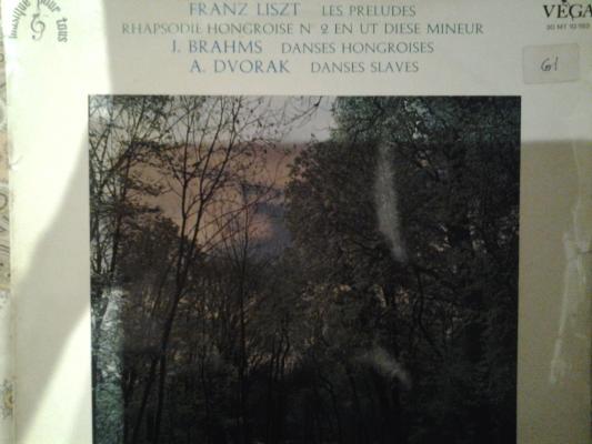 Franz Liszt/j. Brahms/ A. Dvorak