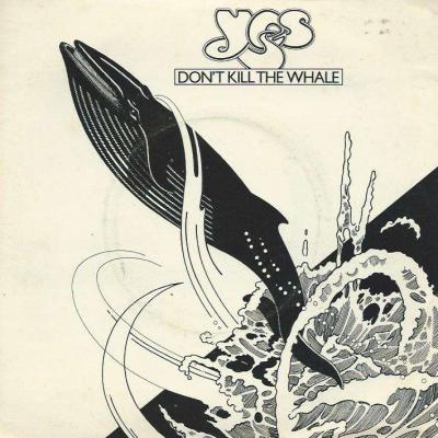 Don't Kill The Whale