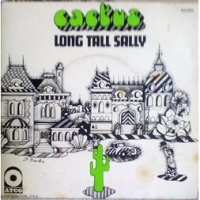 Long Tall Sally