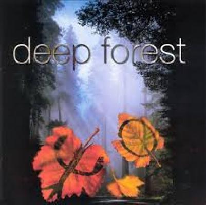 Deep Forest