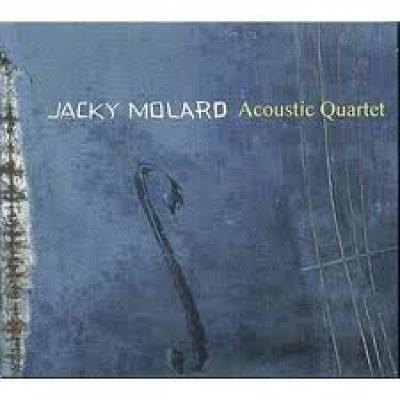 Acoustic Quartet