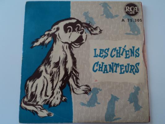 Hot Dog Rock An Roll