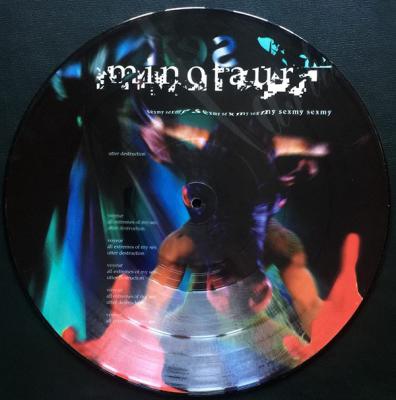 The Hearts Filthy Lesson (picture Disc)