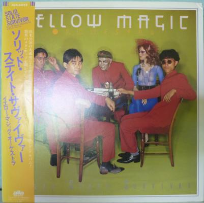 Solid State Survivor