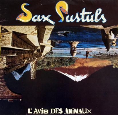 L'avis Des Animaux