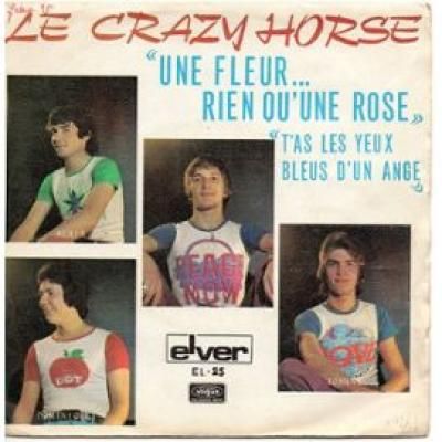 Une Fleur Rien Qu'une Rose