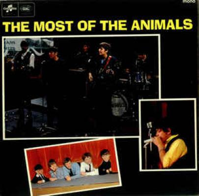 The Most Of The Animals