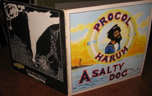 A Salty Dog / A Winter Shade Of Pale