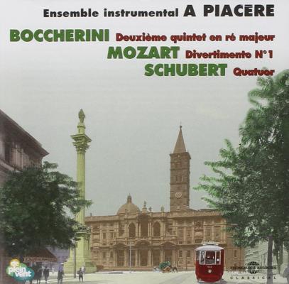 Ensemble Instrumental A Piacere
