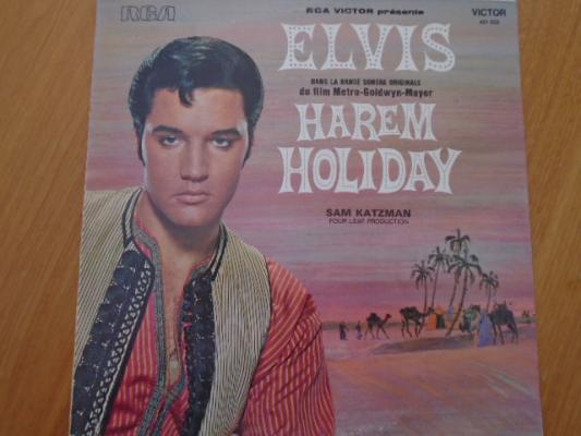 Harem Holiday