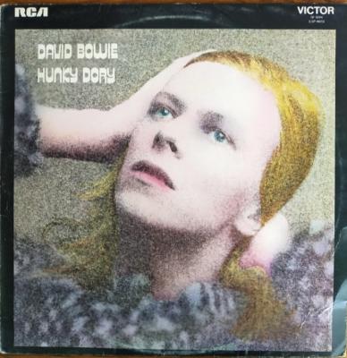 Hunky Dory