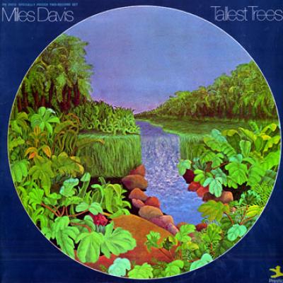 Tallest Trees (1972)