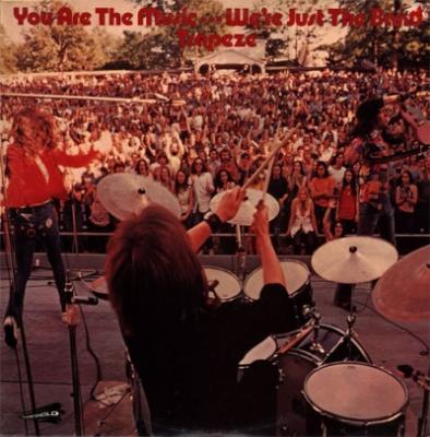 You Are The Music... We're Just The Band