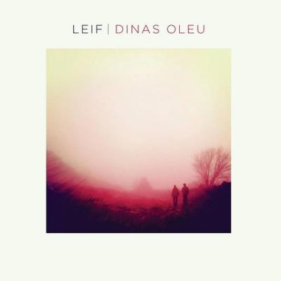Dinas Oleu