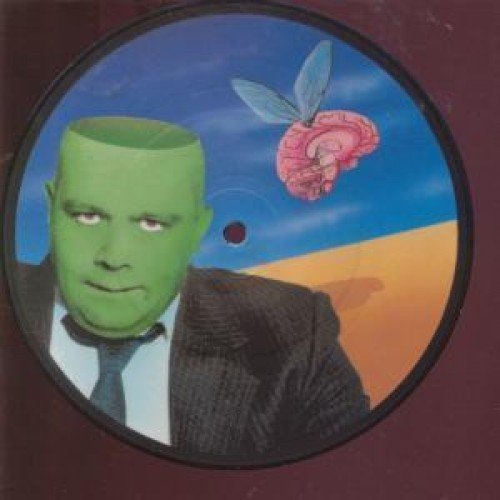 Got No Brains (picture Disc)