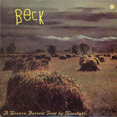 A Western Harvest Field By Moonlight