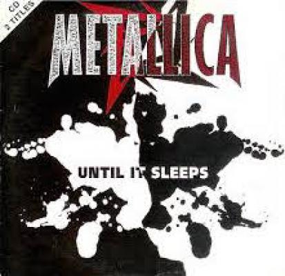 Until It Sleeps (single)