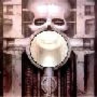 Brain Salad Surgery