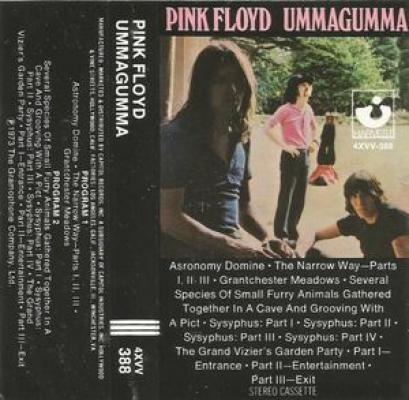 Ummagumma